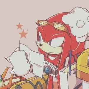 Meet your Posher, Skychaser